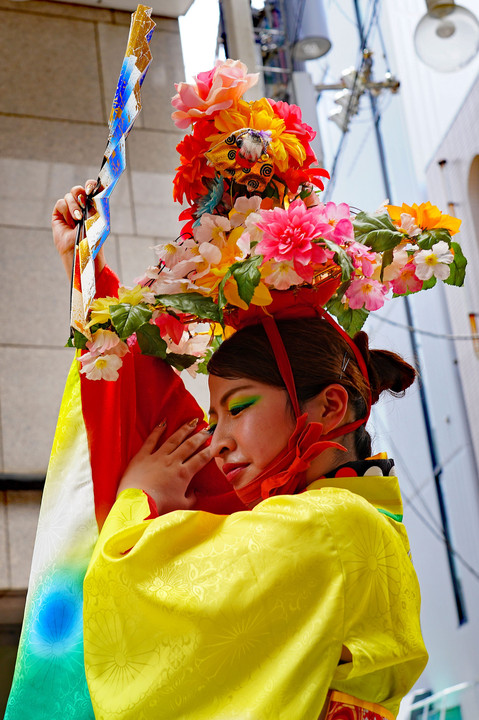 土佐の夏♬よさこい祭り２０１９＼(^０^)／　(１０枚組)