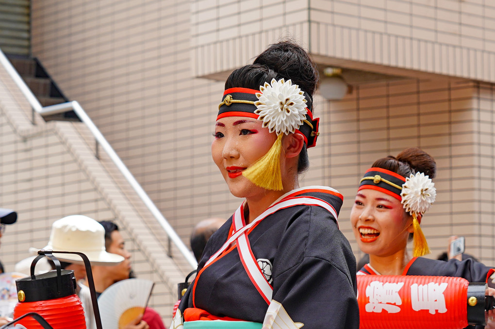 土佐の夏♬よさこい祭り２０１９＼(^０^)／　(１０枚組)