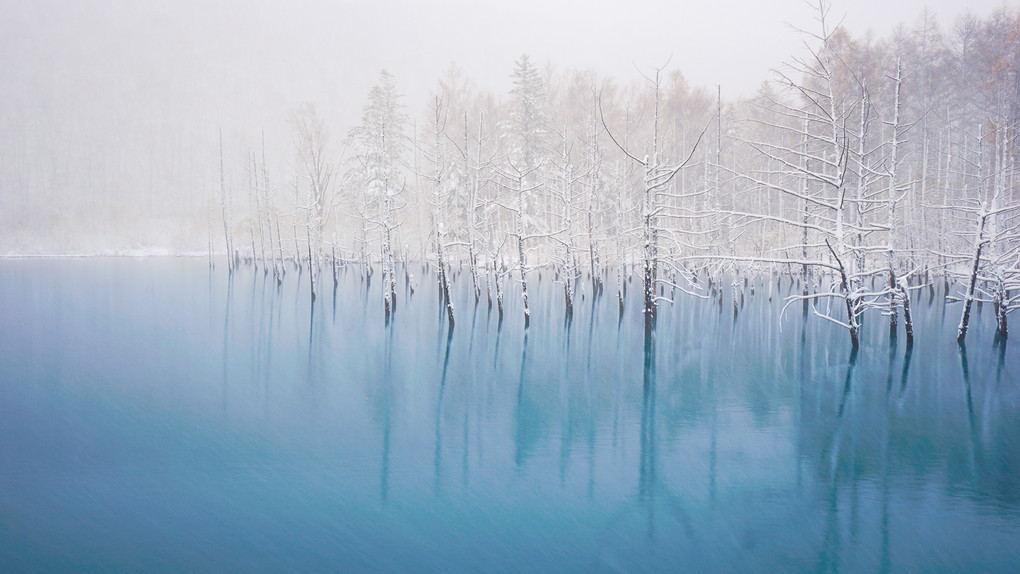 雪降る青い池