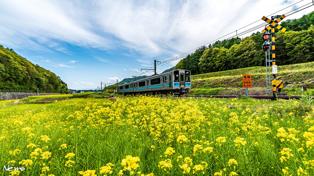 里山の風景 🚃🚃