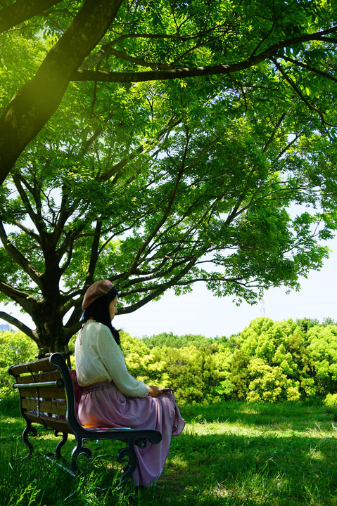 初夏の日。