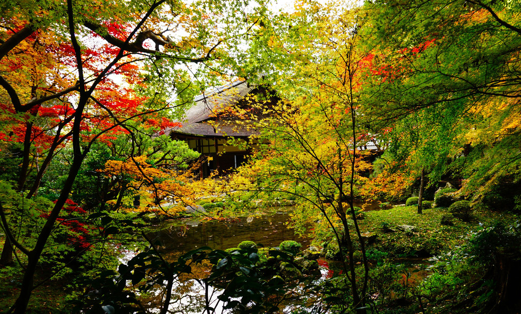 秋の忘れ物。～京都・南禅院～