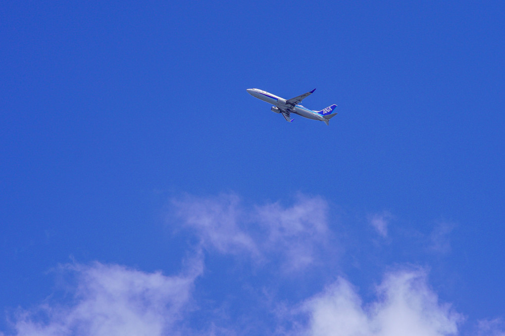 青空