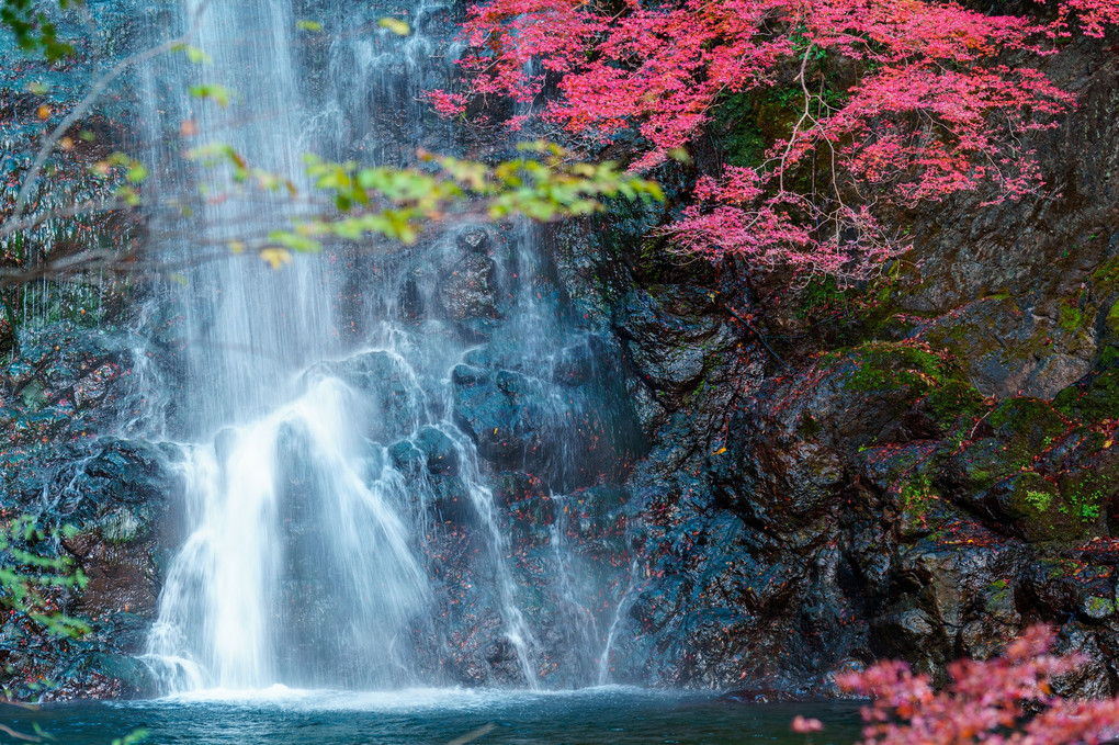 紅と水