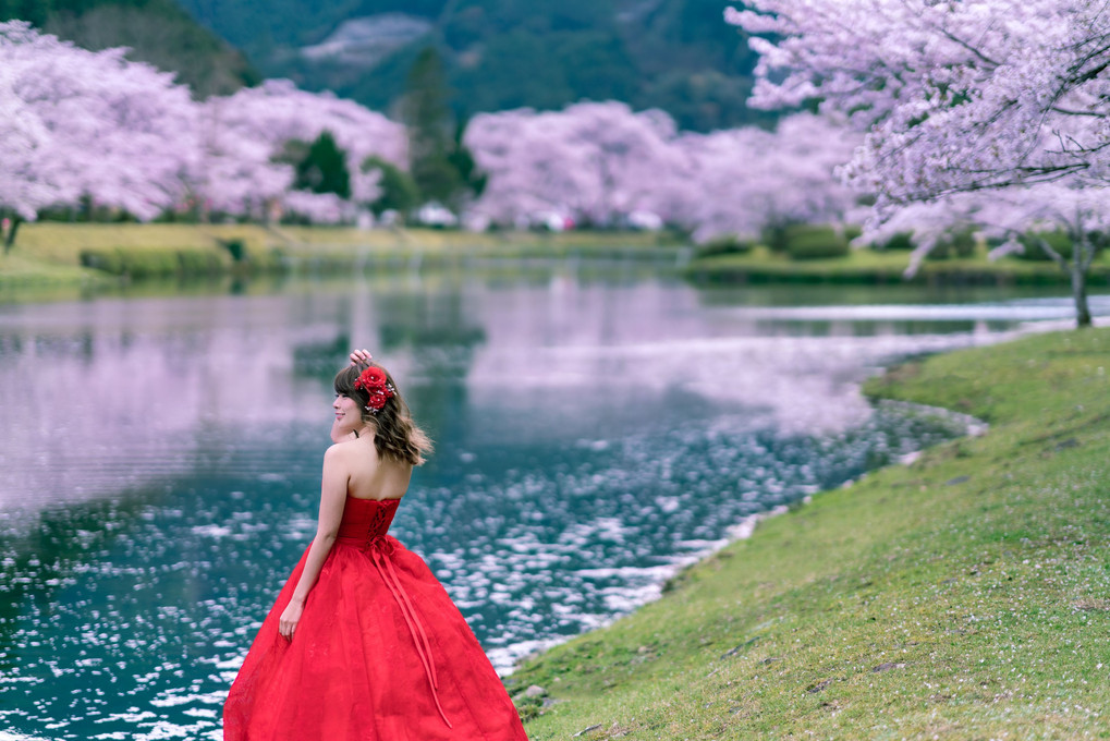 桜と湖と山