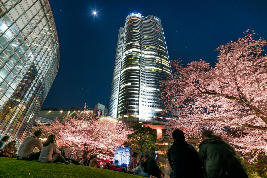 桜と森タワー