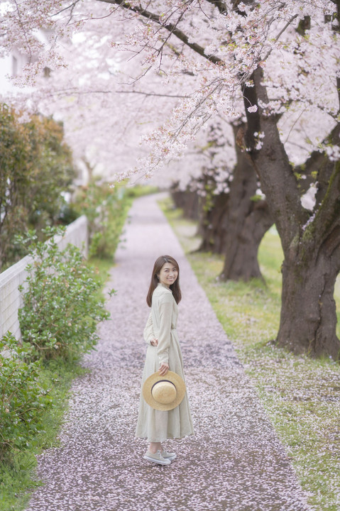 平成サクラ物語　〜 桜の舞に導かれて 〜