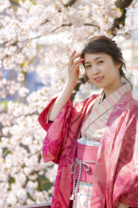 そうだ桜だ、京都に行こう？