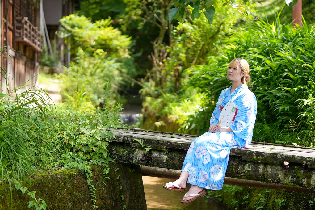 日本の夏