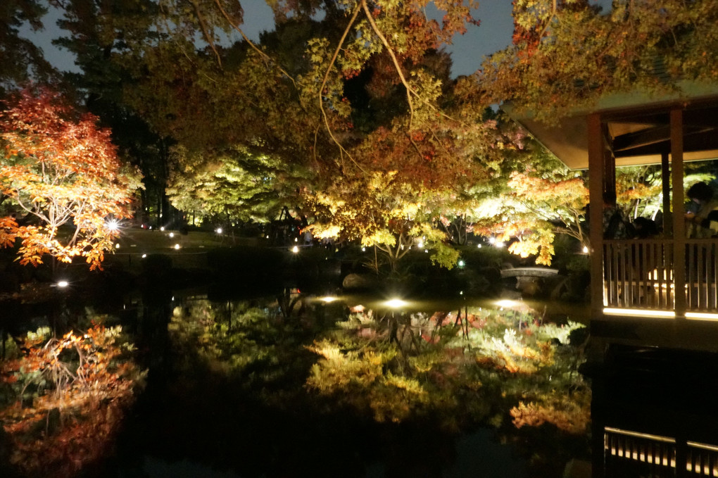 太田黒公園のライトアップ