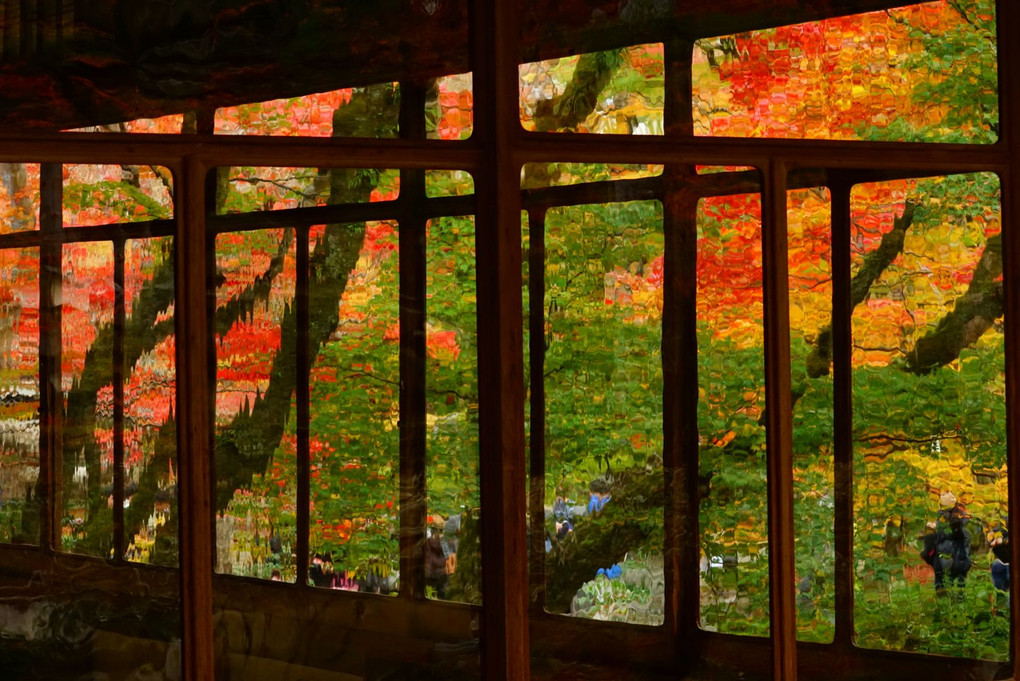 京都 初紅葉撮影