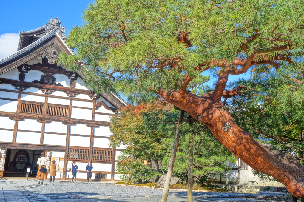 京都一人旅　嵐山　天龍寺