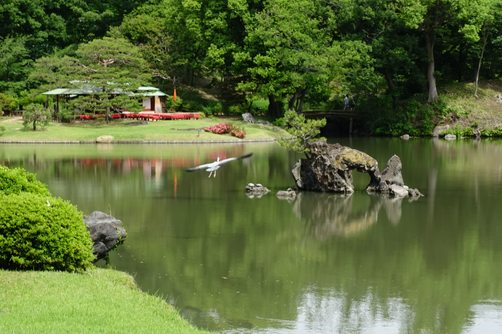 春光うららかな六義園