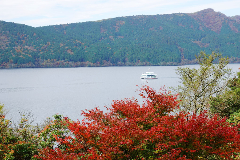 秋の箱根恩寵記念公園　芦ノ湖からのぞむ富士山が綺麗でした。