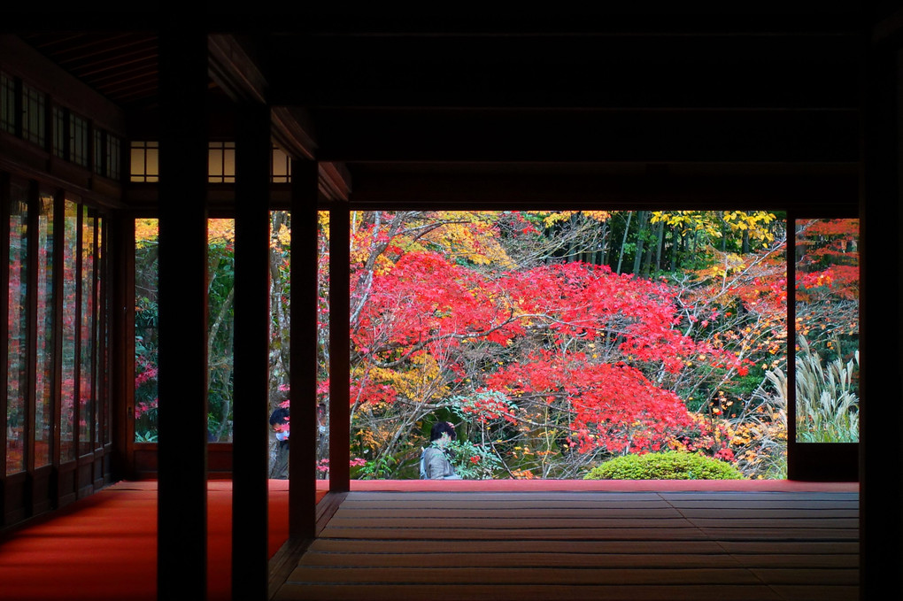 南禅寺　天授庵　玄関から部屋の窓越しに見る紅葉が美しい