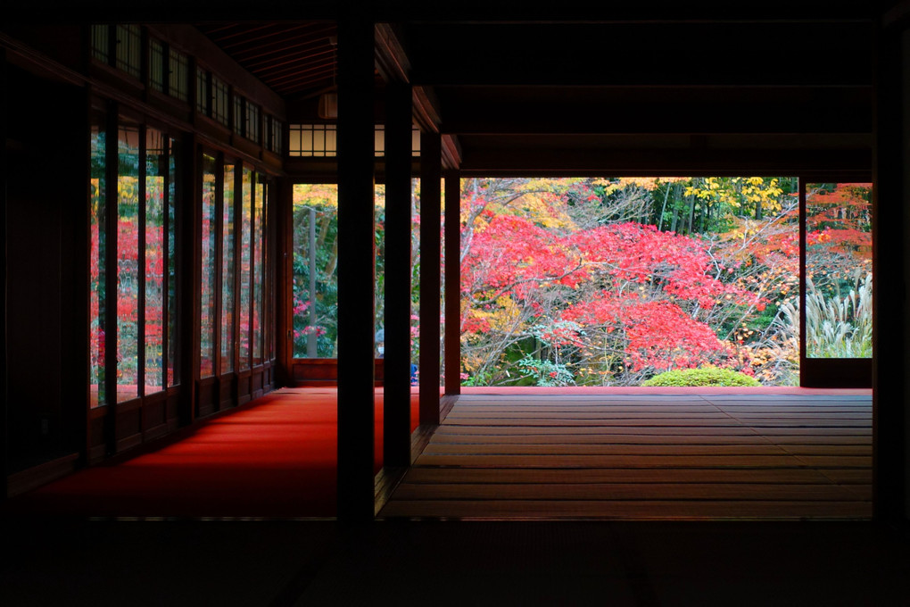 南禅寺　天授庵　玄関から部屋の窓越しに見る紅葉が美しい