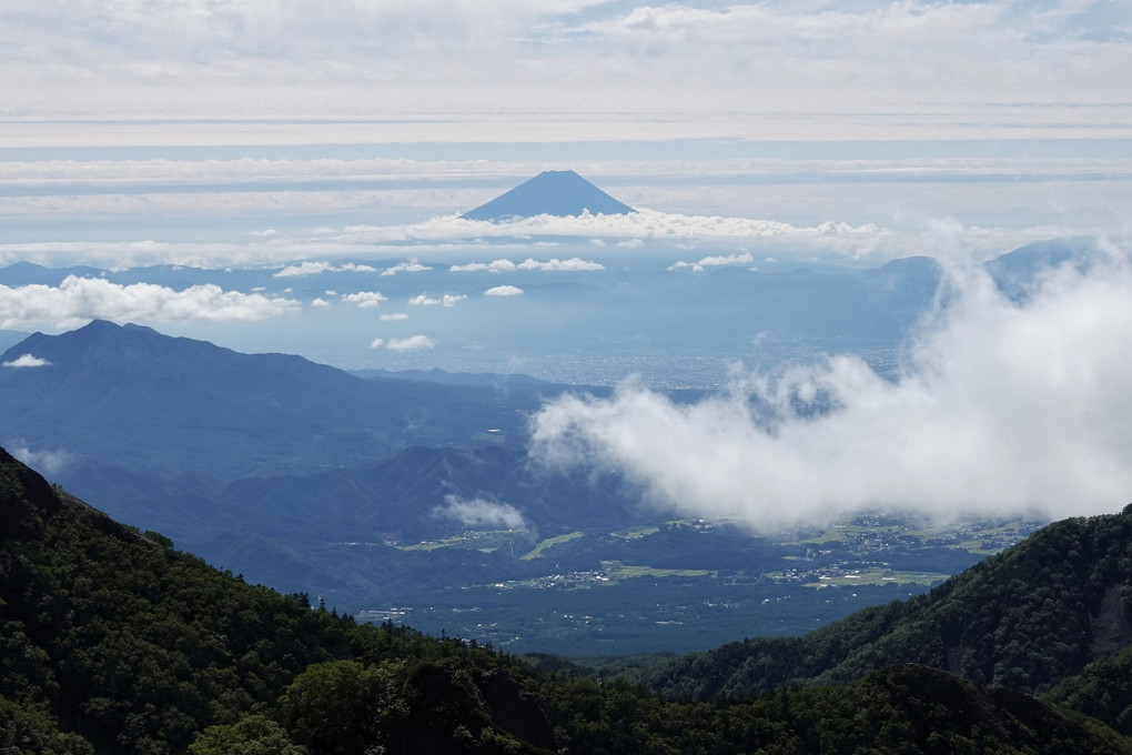 中岳コルから富士を望む　緩やかなU線状の稜線の上に、雲海を纏った富士が浮いていた。