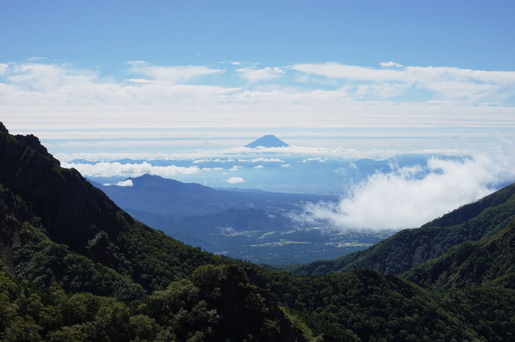 中岳コルから富士を望む　緩やかなU線状の稜線の上に、雲海を纏った富士が浮いていた。