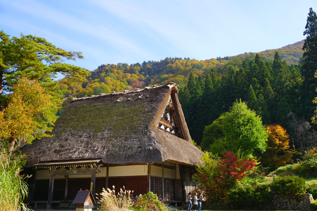 白川郷　明善寺本堂　穏やかな秋の日差しに照らされていました。