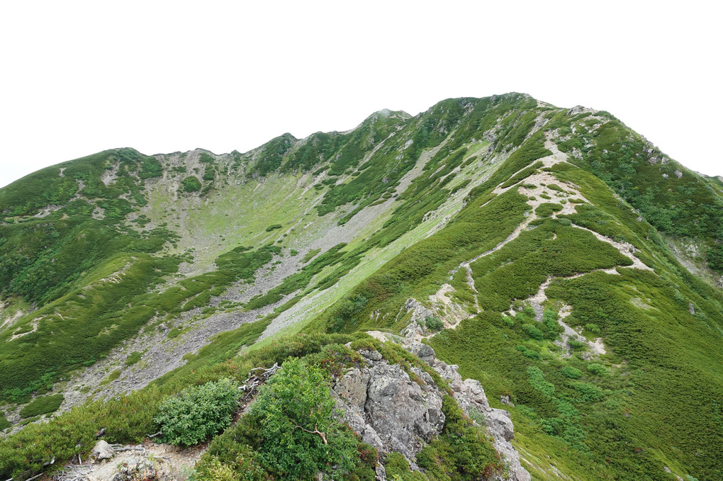 南アルプスの女王　山容の美しさを誇る3033m仙丈ケ岳の稜線