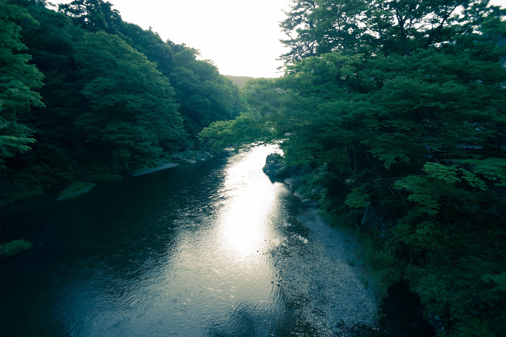 多摩川 ～初夏3～