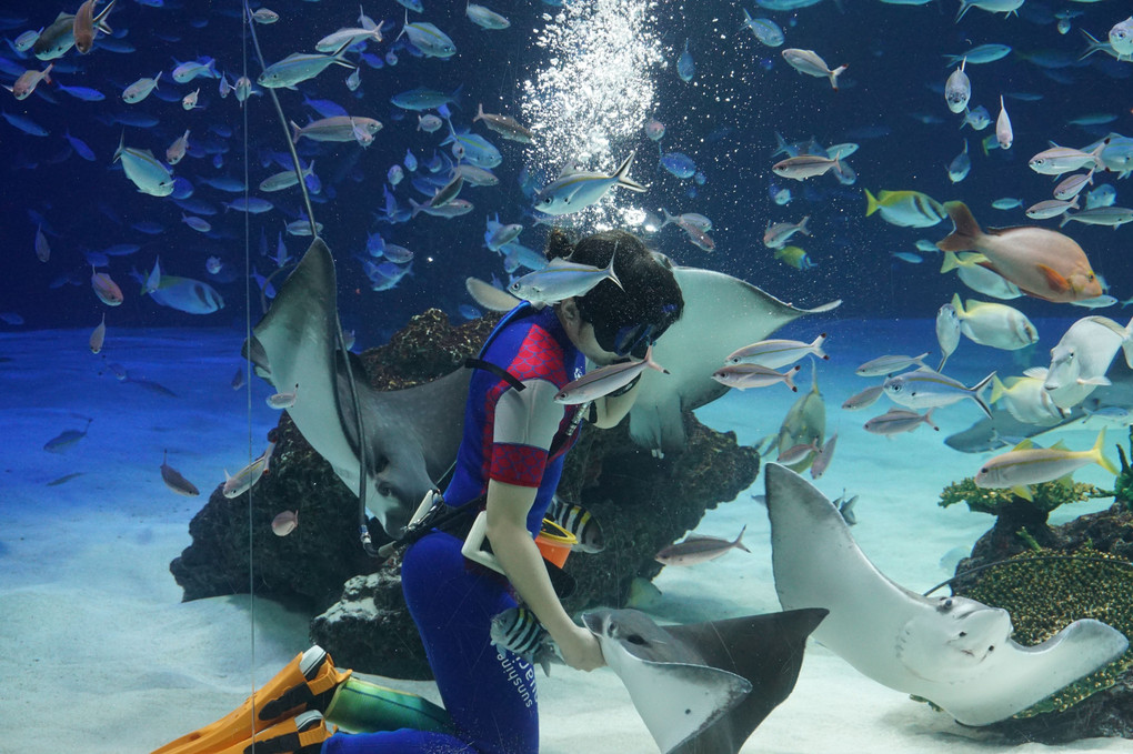 サンシャイン水族館