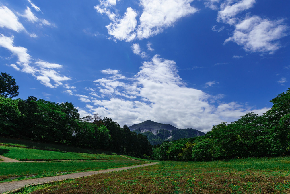 羊山公園からの武甲山