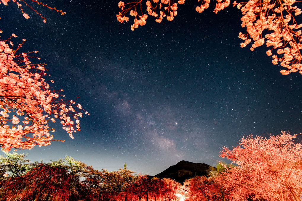 夜桜と天の川と武甲山