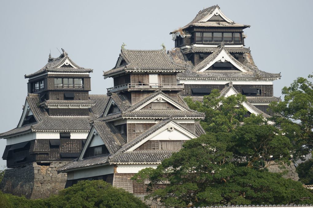8月の熊本城