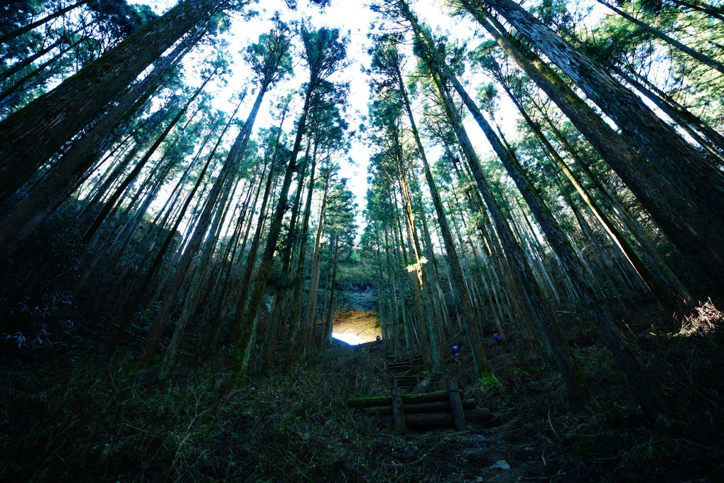 森の神社