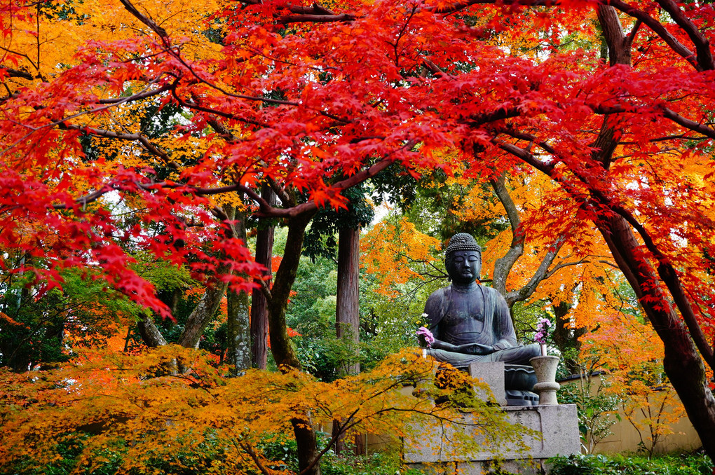 龍光院