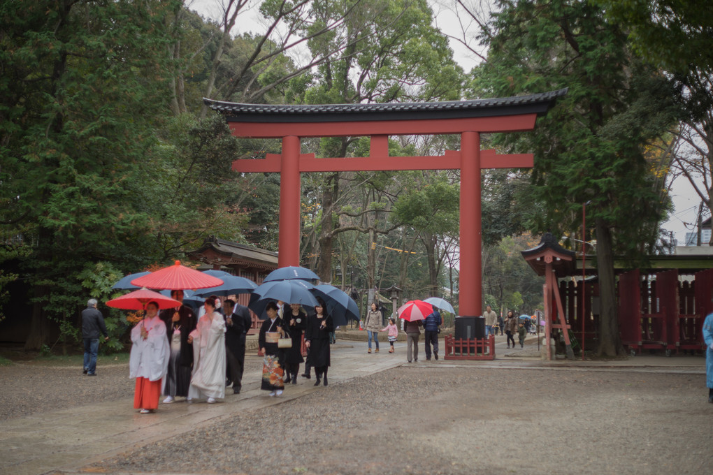氷川神社の結婚式