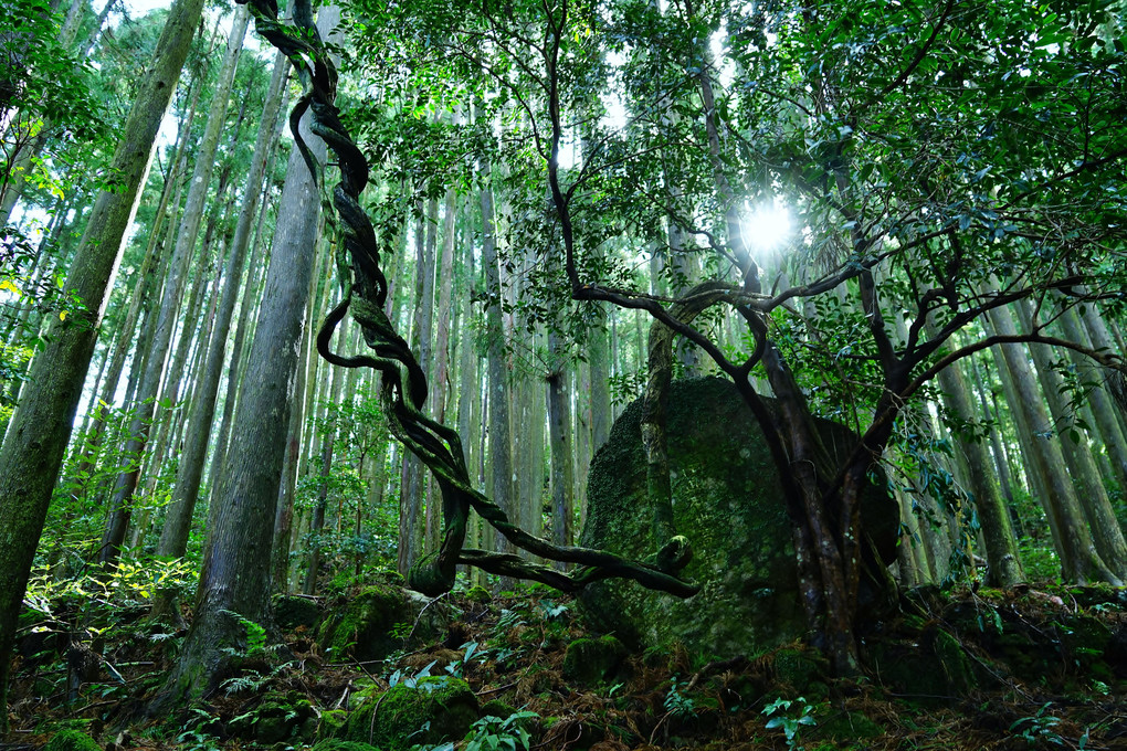 KUMANO・大雲取超