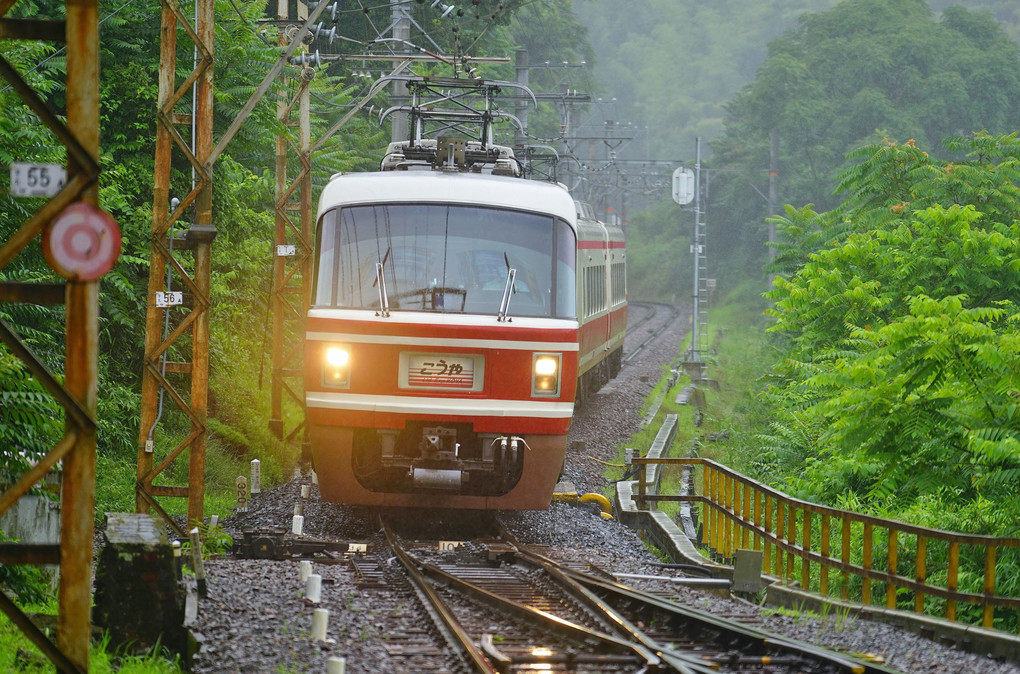 緑雨のこうや