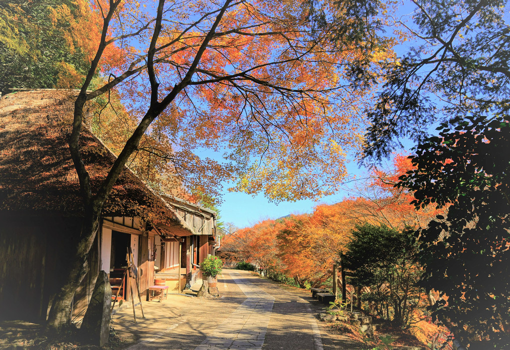 熊野古道～とがの木茶屋～