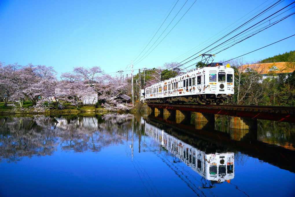 たま電車