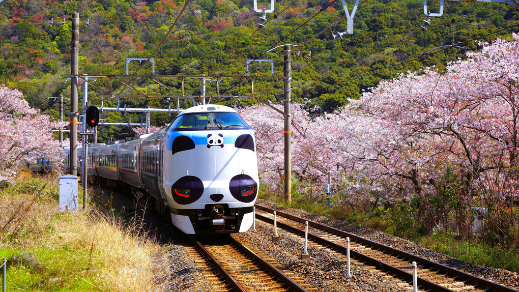 南紀の旅・くろしお