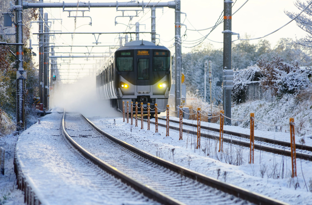 雪の朝