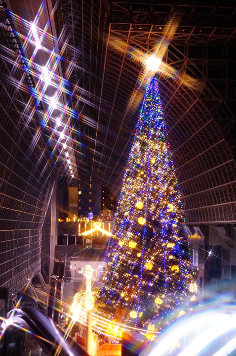 クリスマスツリーと大階段☆彡