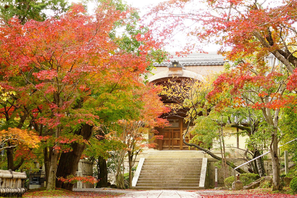 京都 光明寺