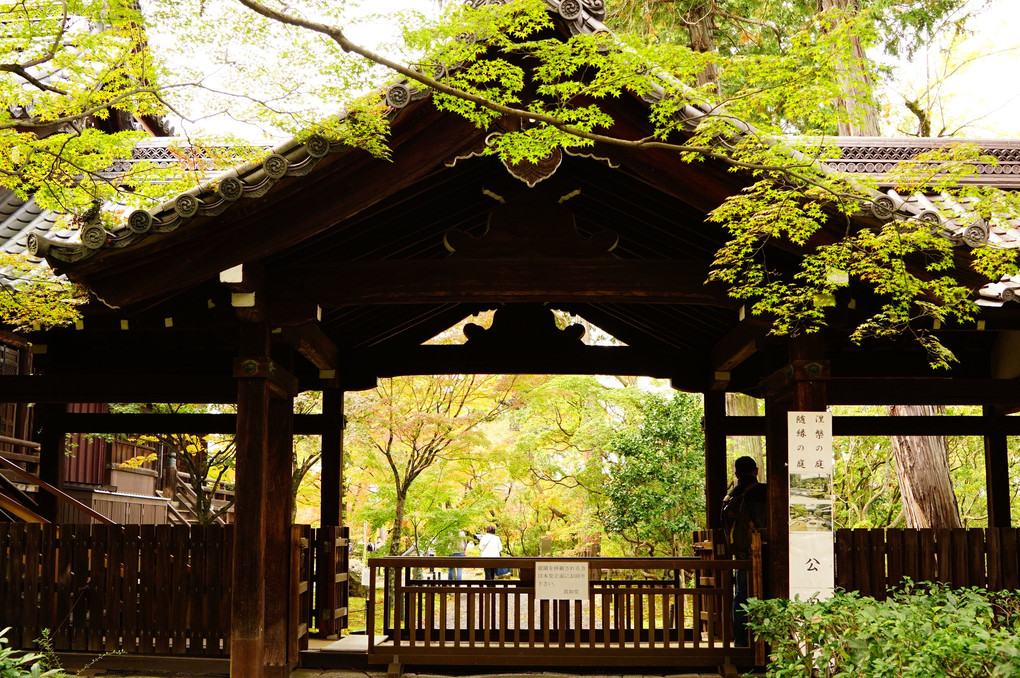 京都の紅葉 「真如堂（真正極楽寺）本堂」