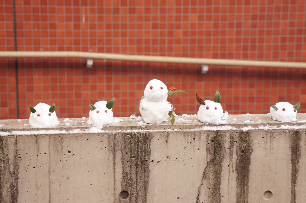 雪うさぎ　～京の雪化粧 その２～