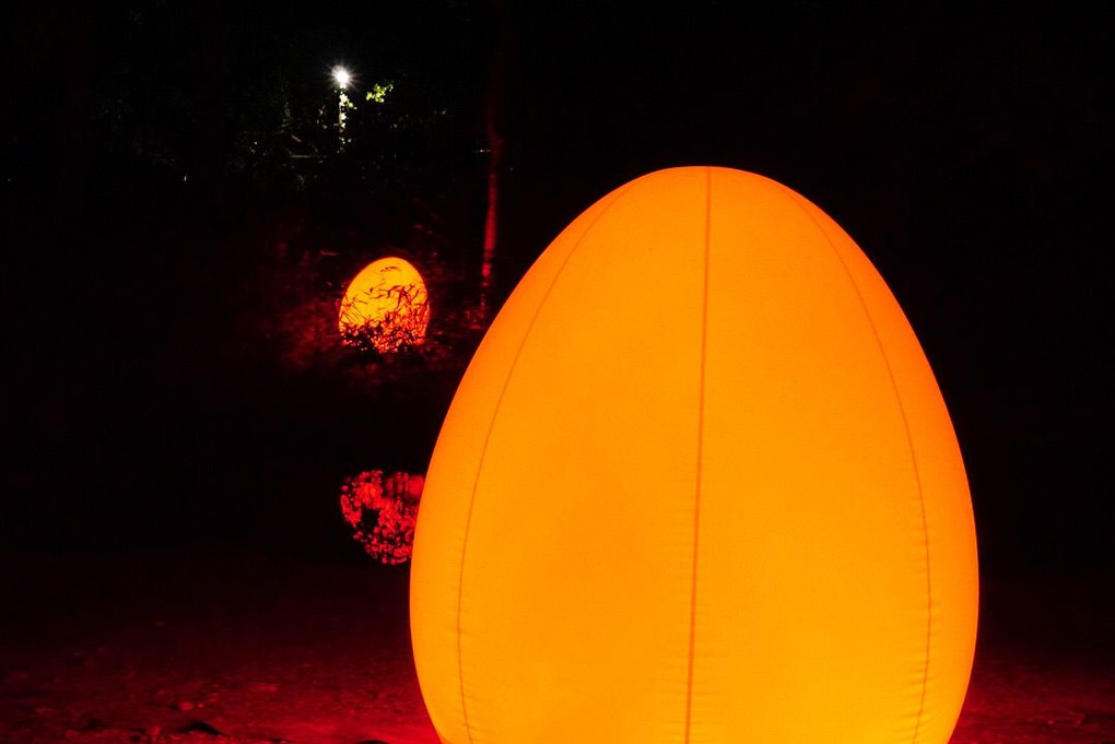 糺の森の光の祭✨✨✨