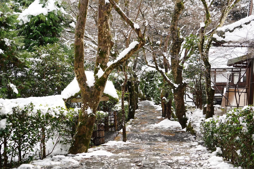 京都の奥座敷