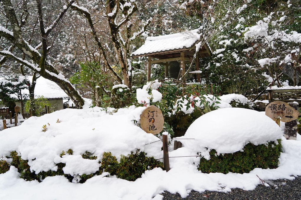 京都の奥座敷