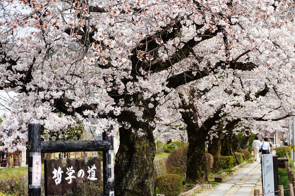 哲学の道