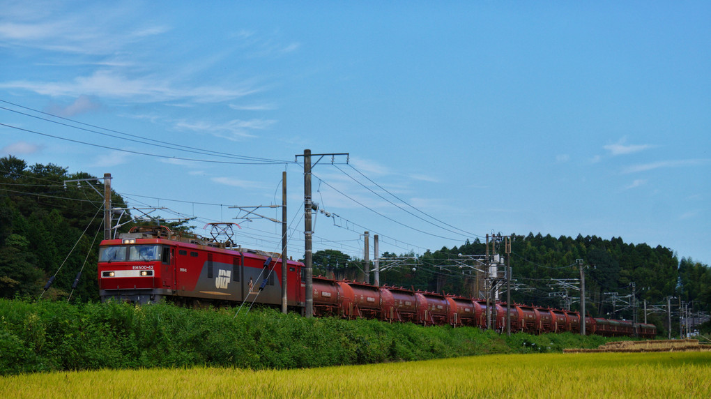 力持ち、ときわ路を駆け抜ける