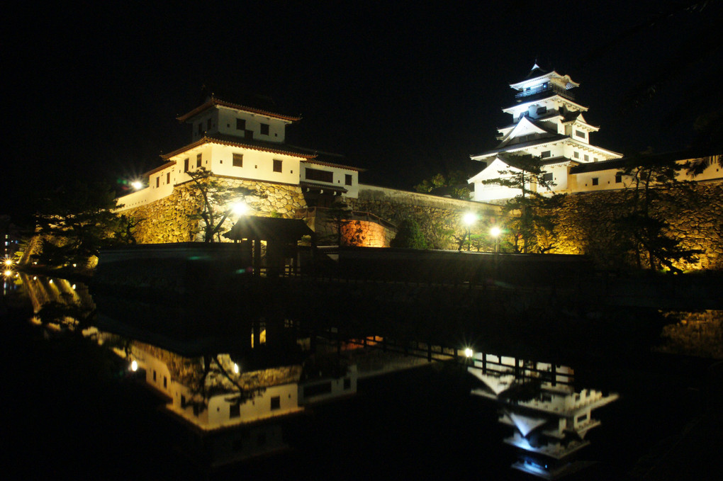 お城と桜