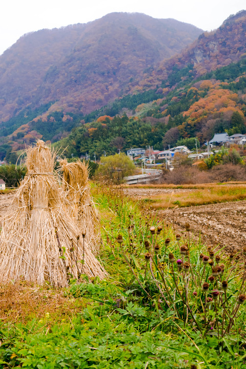 収穫を終えた田園