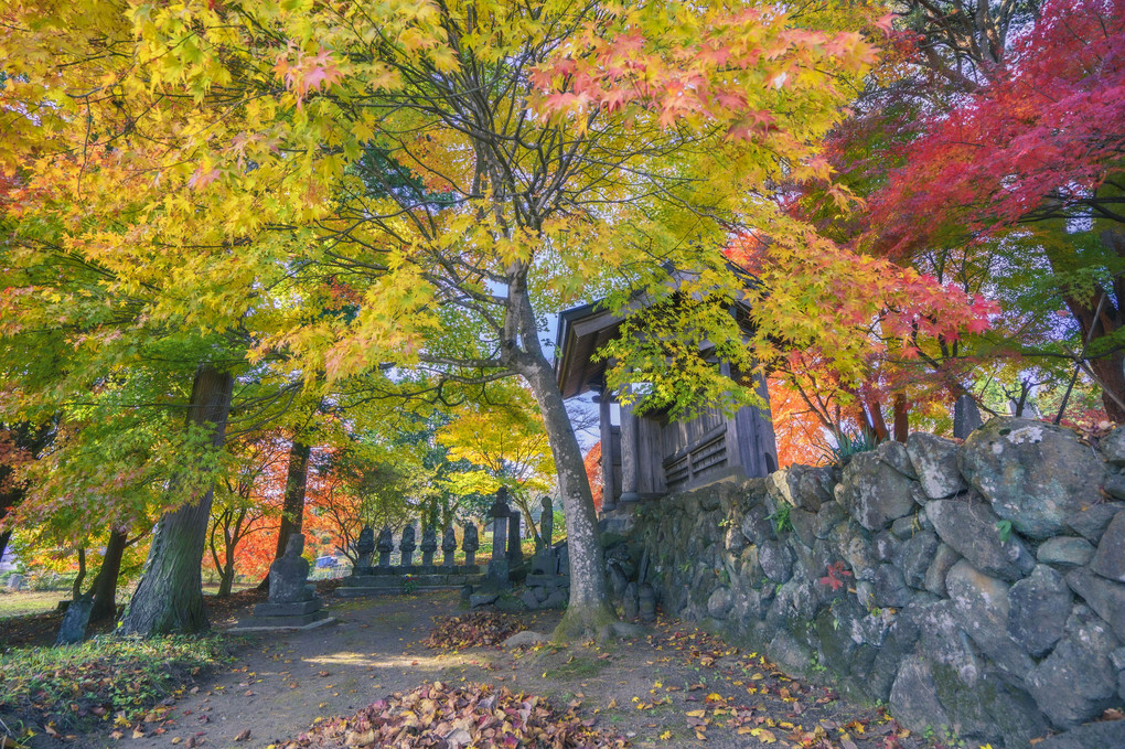 高山村・泉龍寺の紅葉